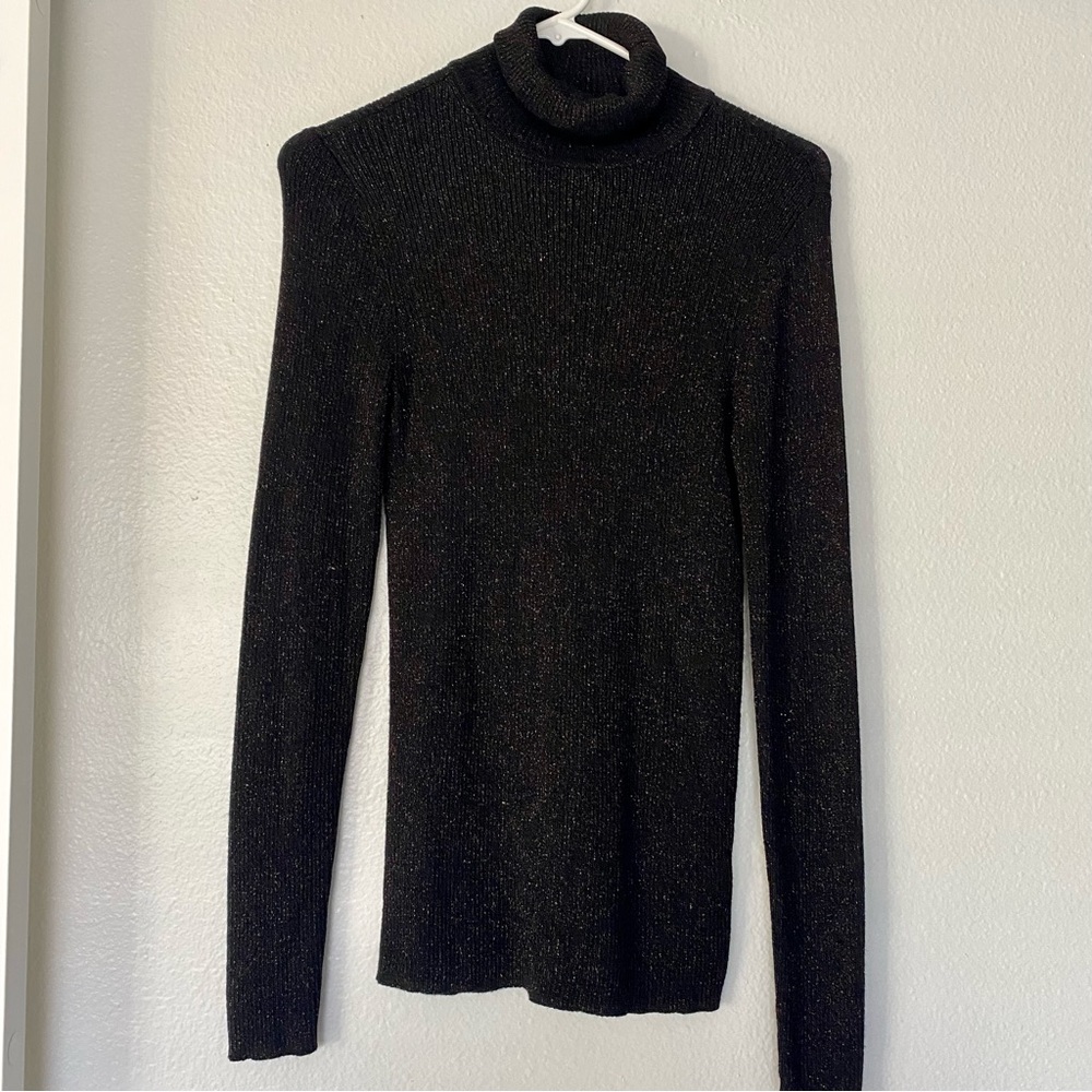 Express Glitter Turtleneck